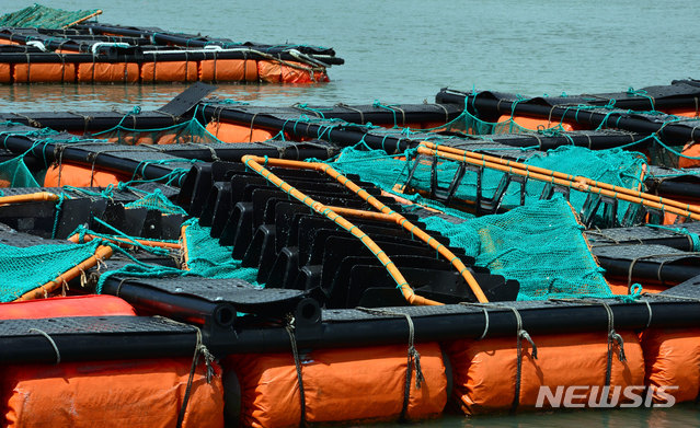 위사진은 특정사실과 관련없음.