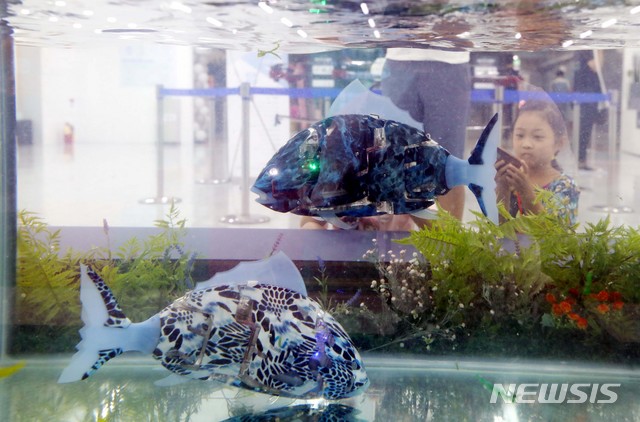 [서울=뉴시스] 2018년 8월 26일 오전 서울 용산구 용산전자랜드 신관에서 열린 ‘2018 용산 로봇 페스티벌’에 전시된 로봇 물고기로 기사와 관련 없음.(사진=뉴시스 DB) 2025.05.15 photo@newsis.com