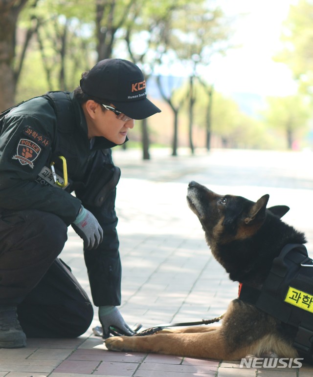 【대구=뉴시스】김덕용 기자 = 실종자 수색작업 중 독사에 물려 순직한 경찰견 '래리'. 2018.08.28. (사진=대구지방경찰청 제공) photo@newsis.com