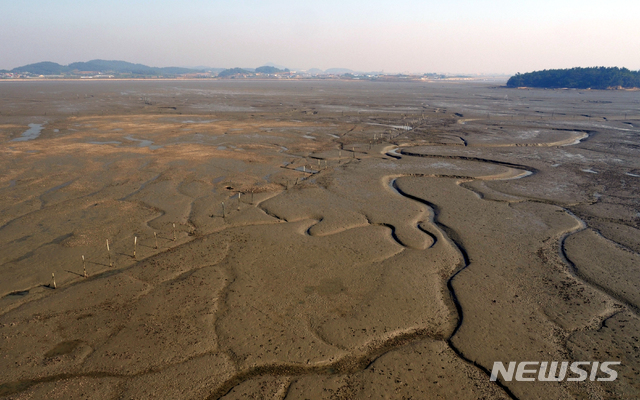[신안=뉴시스] 신안군 압해도 광립갯벌. photo@newsis.com