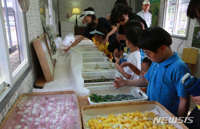 잠원누에생태교실