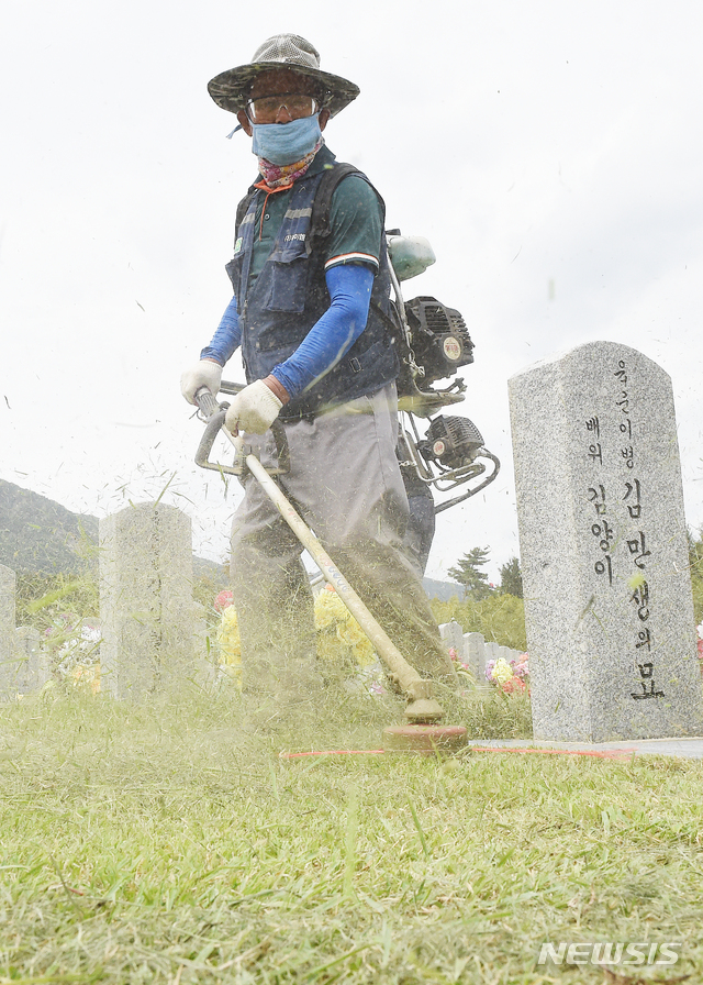 추석 벌초 벌쏘임 주의…"모자 착용하고 자극행동 금물"