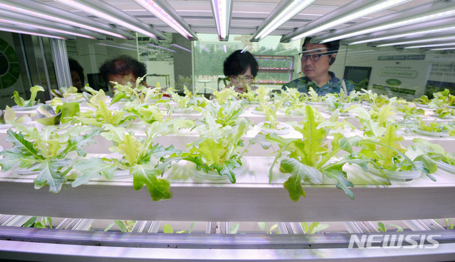 【대구=뉴시스】 대구 수성구 노변동 대구농업마이스터고등학교 LED 식물공장 홍보관의 모습. 2019.05.02. (사진=뉴시스 DB)