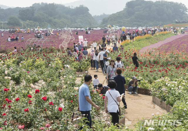 지난해 경기 양주시 천만송이 천일홍 축제 행사장 모습. (사진제공=양주시)