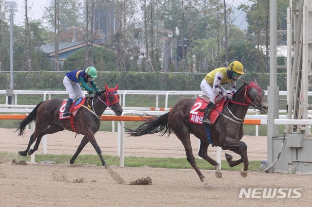 서울의 별(오른쪽)과 스페셜스톤