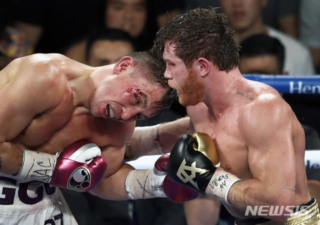 【라스베이거스=AP/뉴시스】 카넬로 알바레스(28·멕시코)는 16일(한국시간) 미국 네바다주 라스베이거스 T-모바일 아레나에서 열린 세계복싱평의회(WBC)·세계복싱협회(WBA) 미들급 통합 타이틀전에서 게나디 골로프킨에 2-0(114-114 115-113 115-113) 판정승을 거뒀다. 골로프킨(왼쪽)에게 펀치를 날리고 있는 알바레스(오른쪽).