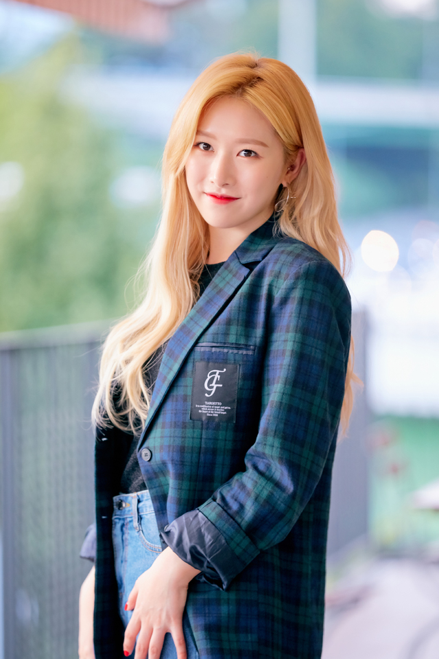 의진
