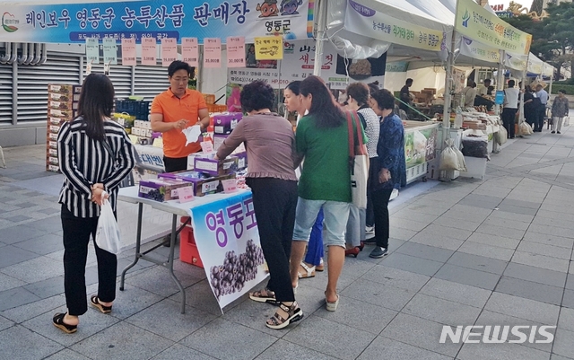 【영동=뉴시스】이성기 기자 = 충북 영동군이 추석 대목을 맞아 수도권 소비자를 상대로 지역 농특산물 판촉전에 나섰다. 사진은 지난 14일 서울 용산구청에 마련한 직거래 행사장의 모습이다.2018.09.17(사진=영동군 제공) photo@newsis.com