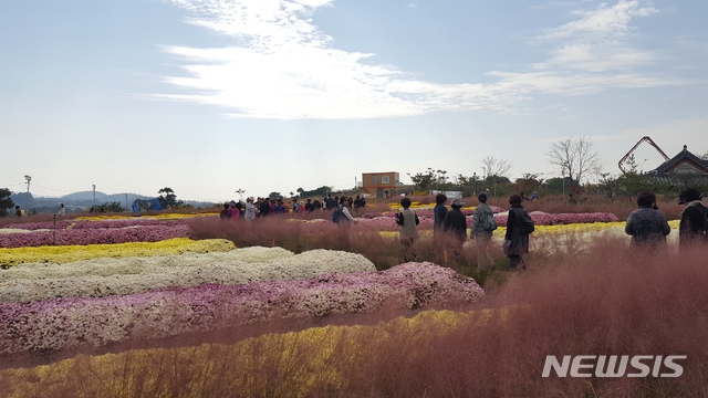 【세종=뉴시스】전남 함평 주포한옥마을 억세벨리존. 2018.09.17. (사진= 농촌진흥청 제공)