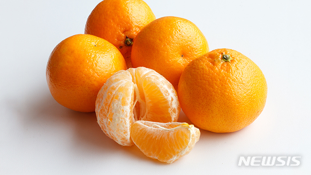 (사진 제공=현대자동차)