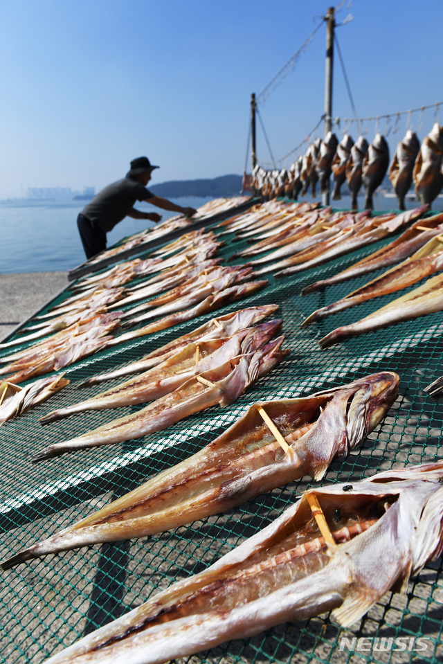 【남해=뉴시스】차용현 기자 = 민족 최대 명절인 추석을 엿새 앞둔 18일 오후 경남 남해군 설천면 인근 바닷가에서 한 주민이 제수용 생선을 가을 햇살에 말리고 있다. 2018.09.18. con@newsis.com