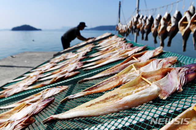 【남해=뉴시스】차용현 기자 = 민족최대 명절인 추석을 엿새 앞둔 18일 오후 경남 남해군 설천면 인근 바닷가에서 한 주민이 제수용 생선을 가을 햇살에 말리고 있다. 2018.09.18. con@newsis.com