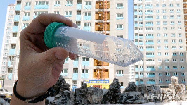 【대구=뉴시스】우종록 기자 = 국내에서 7번째로 붉은불개미가 발견된 18일 오후 대구 북구 매천동의 한 아파트 건설 현장 조경용 중국산 석재에서 환경 당국 관계자가 포집한 붉은불개미 개체를 보여주고 있다. 2018.09.18. wjr@newsis.com