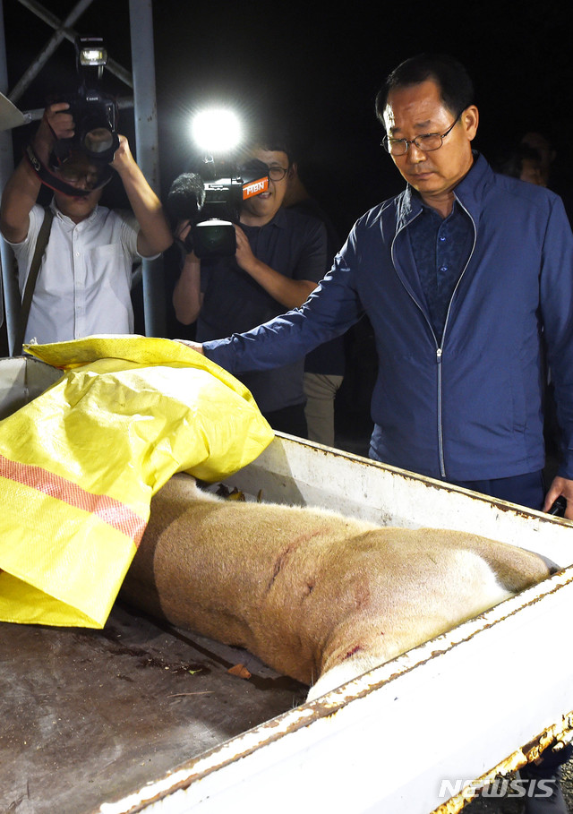 【대전=뉴시스】 함형서 기자= 18일 오후 대전 중구 대전동물원에서 퓨마 1마리가 우리를 탈출해 포획에 실패해 사살한 뒤 동물원 내 동물병원으로 옮겨지고 있다. 2018.09.18 foodwork23@newsis.com