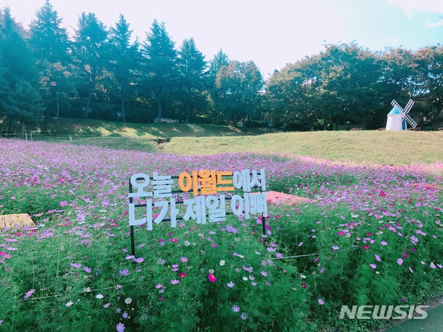 【대구=뉴시스】 대구시가 19일 추석여행지로 추천한 대구 달서구 이월드 코스모스단지 모습이다. 2018.09.19.(사진=대구시 제공) photo@newsis.com