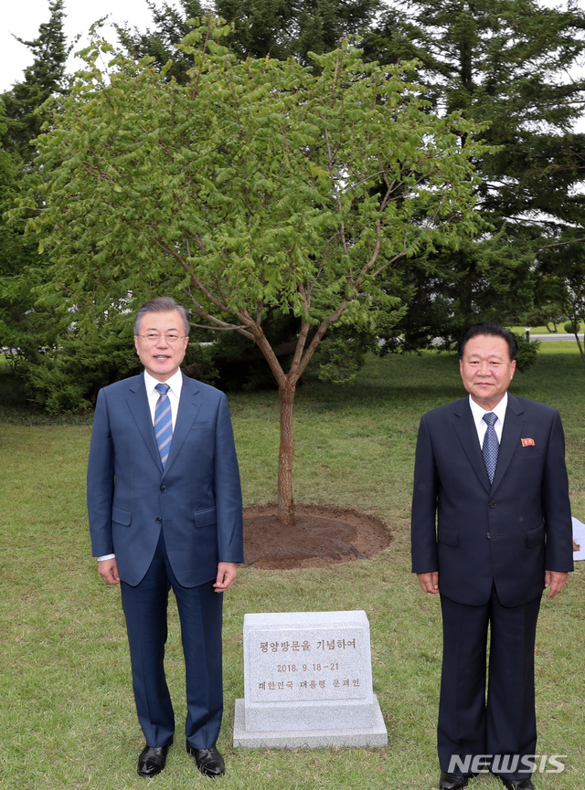 【평양=뉴시스】평양사진공동취재단 박진희 기자 = 문재인 대통령이 19일 오후 남북정상회담 숙소로 사용한 평양 백화원초대소에 남쪽에서 가져온 10년생 모감주나무를 심은 뒤 최룡해 노동당 부위원장 겸 조직지도부장과 기념사진을 찍고 있다. 2018.09.19.photo@newsis.com