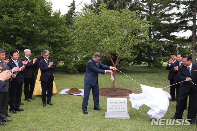 【평양=뉴시스】평양사진공동취재단 박진희 기자 = 문재인 대통령이 19일 오후 남북정상회담 숙소로 사용한 평양 백화원초대소에 남쪽에서 가져온 10년생 모감주나무를 심은 뒤 표지석을 덮은 천을 걷어내고 있다. 북측은 최룡해 노동당 부위원장 겸 조직지도부장 등이 함께 했다. 2018.09.19.photo@newsis.com