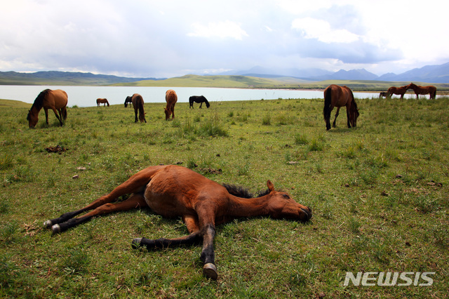 [원추 오늘의운세]말띠, 팔자 타령할 시간에 차라리 사자
