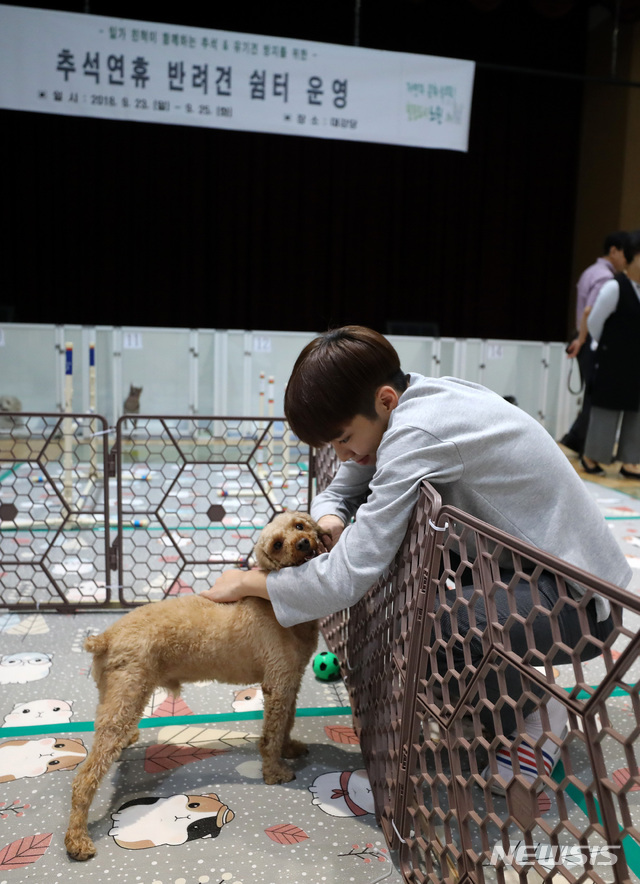【서울=뉴시스】이영환 기자 = 추석을 하루 앞둔 23일 오전 서울 노원구청 대강당에 마련된 반려견 쉼터에서 한 애견인이 반려견과 인사를 나누고 있다. 노원구청 반려견 쉼터는 23일 오전 9시부터 추석 다음날인 25일 저녁 6시까지 문을 열고 가구당 한 마리, 총 20마리를 돌볼 수 있다. 돌봄장 이용료는 가구당 5000원이다. 2018.09.23. 20hwan@newsis.com