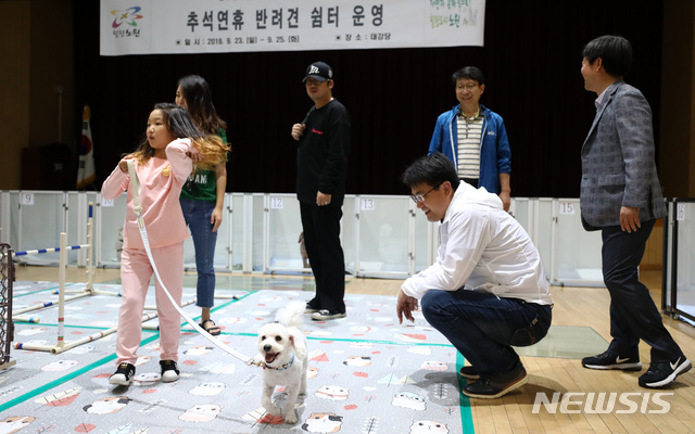 【서울=뉴시스】이영환 기자 = 추석을 하루 앞둔 23일 오전 서울 노원구청 대강당 마련된 반려견 쉼터에서 오승록 노원구청장이 반려견들을 살펴보고 있다. 2018.09.23. 20hwan@newsis.com