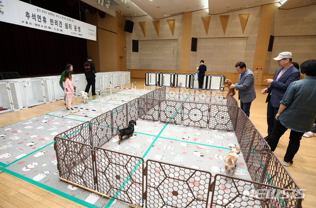 【서울=뉴시스】이영환 기자 = 추석을 하루 앞둔 23일 오전 서울 노원구청 대강당에서 반려견 쉼터가 운영되고 있다. 2018.09.23. 20hwan@newsis.com
