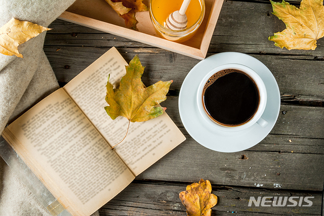 이비스 스타일 앰배서더 서울 강남 '어텀 앤 더 시티 싱글 패키지'