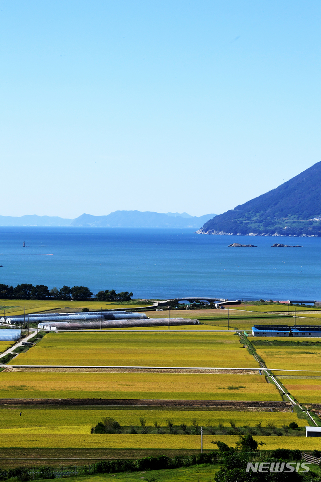 【남해=뉴시스】차용현 기자 = 추석연휴인 25일 오전 경남 남해군 이동면 신전마을 인근에서 바라본 황금들녘이 파란하늘아래 펼쳐져 있다. 2018.09.25. con@newsis.com