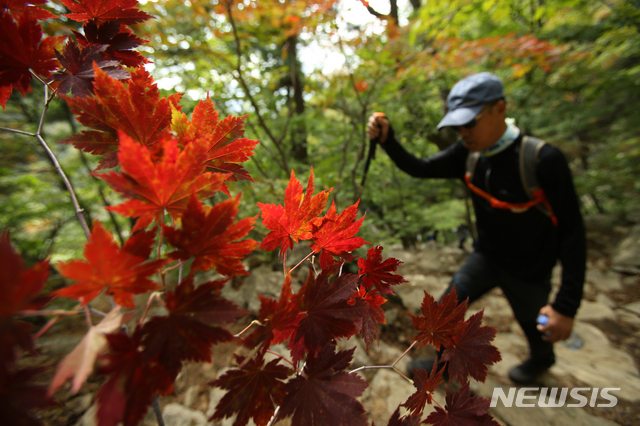 【양양=뉴시스】김경목 기자 = 추석 연휴의 마지막 날인 26일 등산객이 단풍이 물들기 시작한 설악산 산행에 나서고 있다. 2018.09.26. photo31@newsis.com