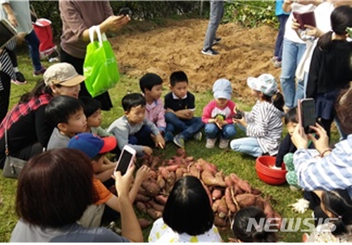 【서울=뉴시스】서울시는 10월 한 달간 가을빛이 완연한 한강공원에서 온 가족이 한강의 생태를 배우고 체험할 수 있는 한강생태학습 프로그램을 운영한다. <사진제공=서울시> 2018.09.27. 