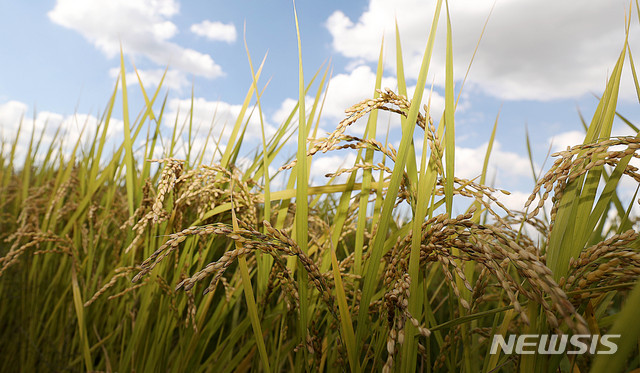 내일도 일교차 커…태풍 영향으로 제주에 비