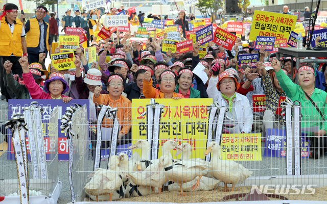 【세종=뉴시스】강종민 기자 = 한국오리협회 소속 농업인들이 27일 오후 정부세종청사 농림축산식품부 앞에서 집회를 열어 AI방역 조치에 따른 오리농가 피해대책 수립을 촉구하고 있다. 2018.09.27. ppkjm@newsis.com