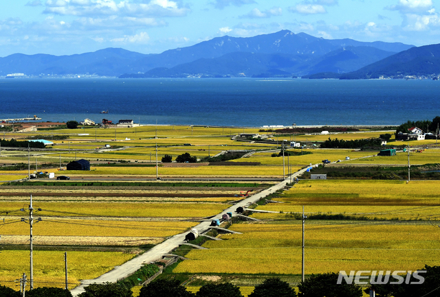 【남해=뉴시스】차용현 기자 = 전형적인 가을날씨를 보이고 있는 27일 오후 노랗게 물든 경남 남해군 차산들녘이 파란하늘과 푸른 바다와 어우러져 가을의 정취를 더하고 있다. 2018.09.27. con@newsis.com