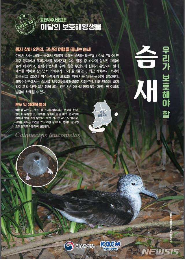 "둥지찾아 2만리 날아온 '슴새' 지켜주세요"