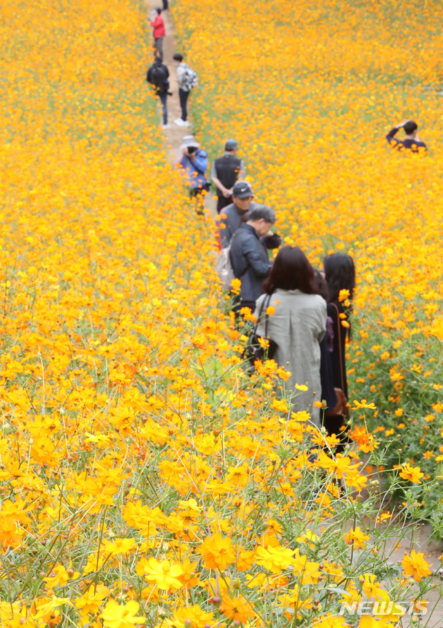 내일 대체로 맑다가 낮부터 구름…경상·제주는 비