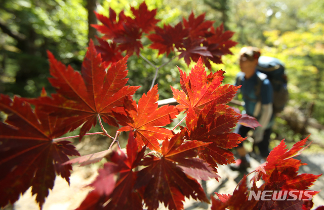 【양양=뉴시스】김경목 기자 = 28일 등산객이 붉은 단풍이 물든 강원도 양양군 설악산의 최고봉인 대청봉(해발 1708ｍ)을 오르고 있다.&nbsp; 기상청에 따르면 설악산의 올해 첫 단풍의 시작일은 9월27일이고 절정 시기는 10월 중순으로 전망했다. 2018.09.28.&nbsp; photo31@newsis.com