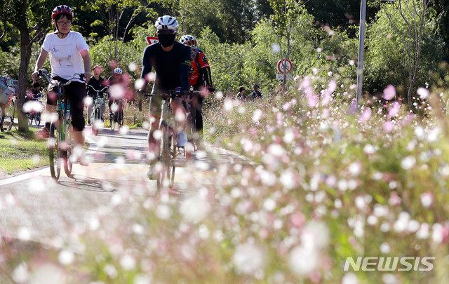 【서울=뉴시스】추상철 기자 = 완연한 가을 날씨를 보인 30일 오후 서울 서초구 반포한강공원에서 자전거를 탄 시민들이 코스모스 사이를 지나고 있다. 2018.09.30. scchoo@newsis.com