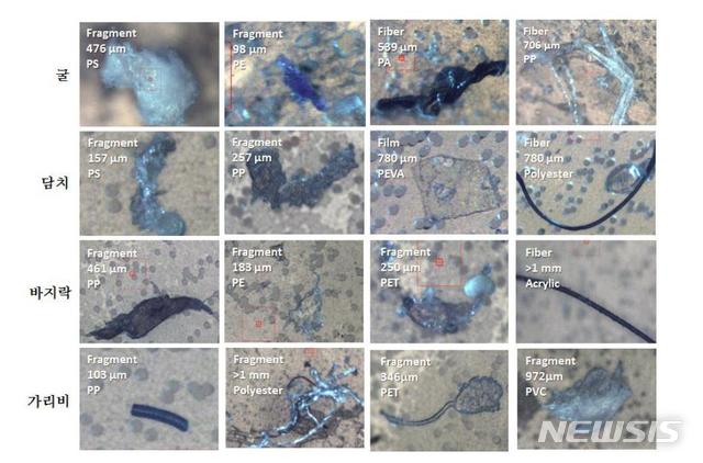 【서울=뉴시스】 패류 체내에서 발견된 미세플라스틱 