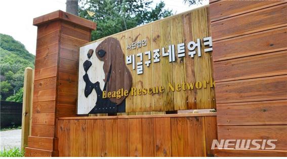 【대구=뉴시스】김덕용 기자 = 동물보호단체 비글구조네트워크 2018. 10. 02.(사진=비글구조네트워크 제공) photo@newsis.com
