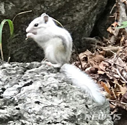 [뉴시스 원추 오늘의운세]쥐띠, 산 넘어 산 아니라 들이네