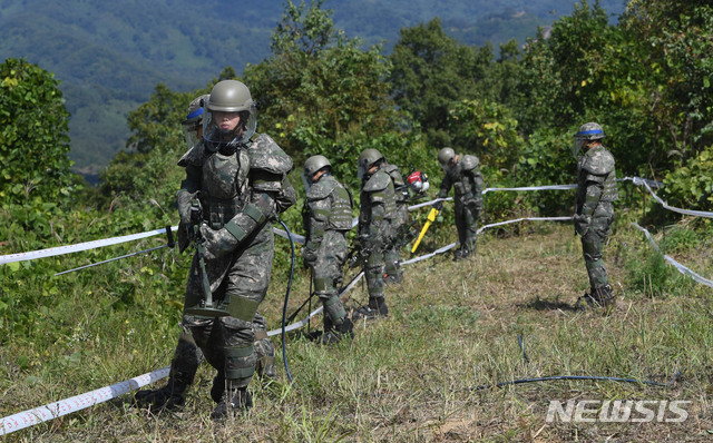 【철원=뉴시스】 사진공동취재단 = 육군은 비무장지대 내 6.25 전사자 유해발굴을 위한 지뢰제거작업을 2일 강원도 철원군 5사단(열쇠부대) 인근 비무장지대 수색로 일대에서 개시했다.&nbsp; 장병들이 지뢰탐지 및 제거작업을 벌이고 있다. 2018.10.03.&nbsp;&nbsp; photo@newsis.com 