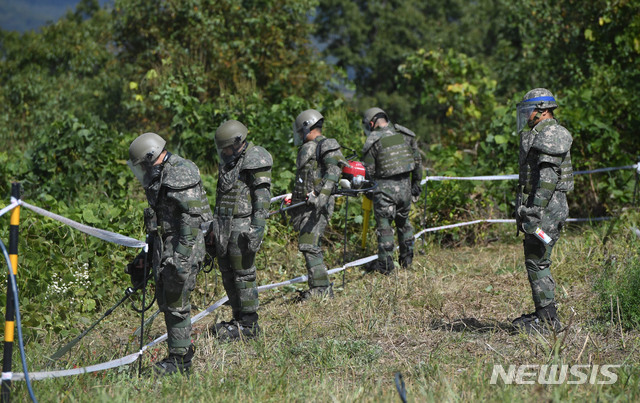 [철원=뉴시스]강원도 철원군 5사단(열쇠부대) 장병들이 비무장지대 수색로 일대에서 지뢰탐지 및 제거작업을 벌이고 있다. 2018.10.03. photo@newsis.com (사진=뉴시스DB)