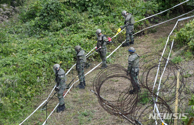 【철원=뉴시스】 사진공동취재단 = 육군은 비무장지대 내 6.25 전사자 유해발굴을 위한 지뢰제거작업을 2일 강원도 철원군 5사단(열쇠부대) 인근 비무장지대 수색로 일대에서 개시했다. 장병들이 지뢰탐지 및 제거작업을 벌이고 있다. 2018.10.03.&nbsp; photo@newsis.com