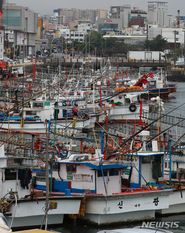 【제주=뉴시스】우장호 기자 = 제25호 태풍 '콩레이'가 북상 중인 4일 오후 제주시 건입동 제주항 2부두에 어선들이 풍랑을 피해 정박해 있다. 2018.10.04.&nbsp; woo1223@newsis.com