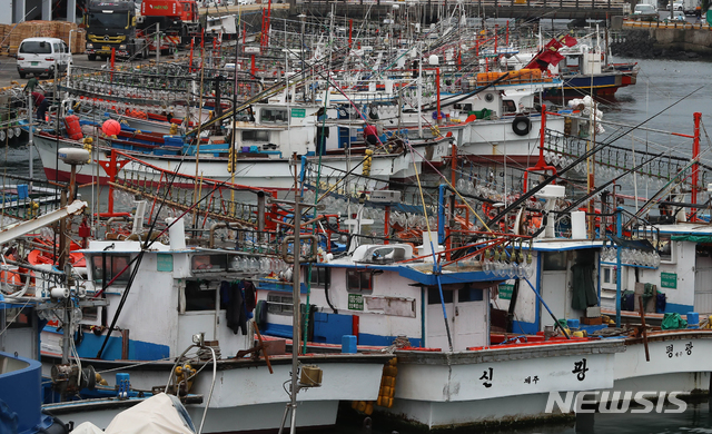 【제주=뉴시스】우장호 기자 = 제25호 태풍 '콩레이'가 북상 중인 4일 오후 제주시 건입동 제주항 2부두에 어선들이 풍랑을 피해 정박해 있다. 2018.10.04. woo1223@newsis.com