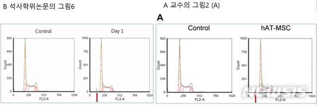 【세종=뉴시스】B씨의 석사논문 그래프(왼쪽) 우측 상단 Day1이라는 단어가 A교수의 논문 그래프에서는 실험 재료인 'hAT-MSC'를 뜻하는 단어로 바뀌었을 뿐 전체 굴곡과 모양이 완벽히 일치한다. <출처=관련 논문에서 발췌> 2018.10.08.