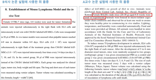 【세종=뉴시스】 A교수가 택한 실험쥐는 면역·암 관련 연구에서 널리 쓰이는 종이고, 석사 B씨가 실험한 쥐는 암이 잘 발생하지 않는 종이다. 동일한 실험을 하더라도 결과에 각기 다른 영향을 준다는 게 전문가들의 설명이다. <출처=관련 논문에서 발췌> 2018.10.08. 