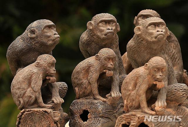 [원추 오늘의운세]원숭이띠, 서로 우두머리 되려다 망한 무리 많더라