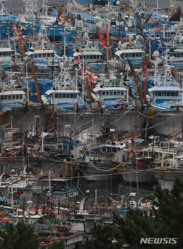 【서귀포=뉴시스】우장호 기자 = 제25호 태풍 '콩레이'(KONG-REY)가 우리나라를 향해 빠르게 북상 중인 5일 오전 제주 서귀포시 서귀포항에 어선들이 피항해 있다. 2018.10.05. woo1223@newsis.com