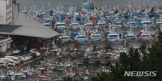 【서귀포=뉴시스】우장호 기자 = 제25호 태풍 '콩레이'(KONG-REY)가 우리나라를 향해 빠르게 북상 중인 5일 오전 제주 서귀포시 서귀포항에 어선들이 피항해 있다. 2018.10.05.&nbsp; woo1223@newsis.com