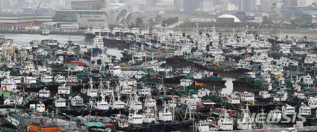 【부산=뉴시스】 하경민 기자= 제25호 태풍 '콩레이'(KONG-REY)가 북상 중인 가운데 5일 부산 동구 부산항 5부두에 각종 수백 척이 피항해 있다. 2018.10.05. (사진=남해해경청 제공) yulnetphoto@newsis.com